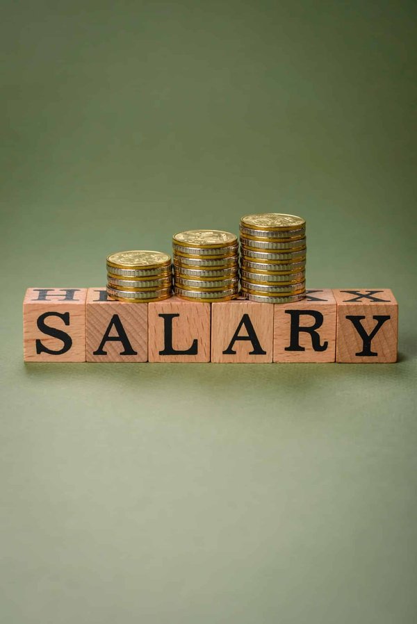 Portage salarial lille : sécurité et flexibilité pour les pros